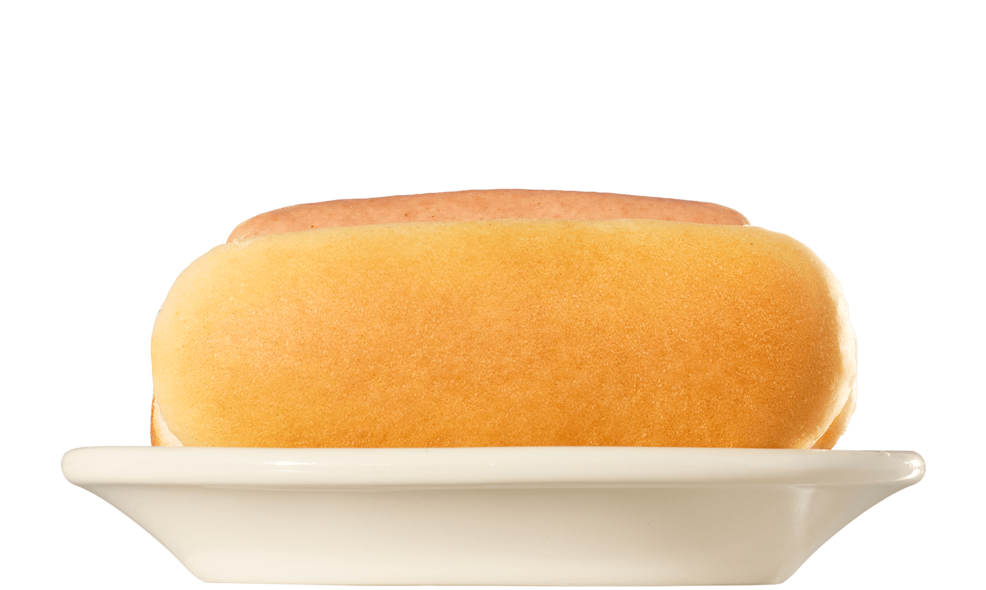 Skyline hot dog in bun