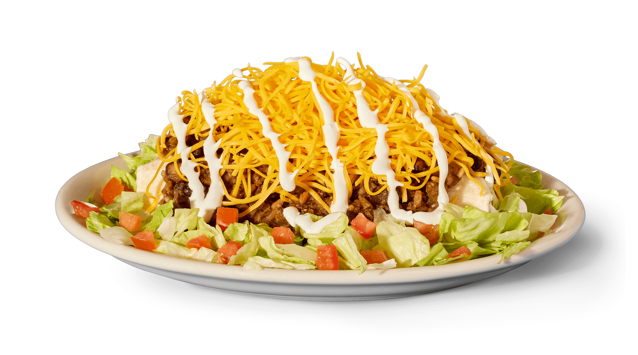 Beans and rice burrito